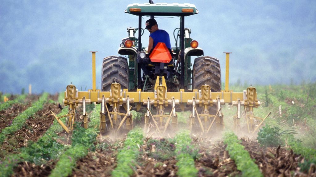 tractor dozer for rent